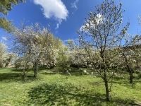 Biatorbágy Családi ház