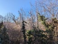 Budapest II. kerület Lakás (téglaépítésű)