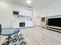 Budapest IX. kerület Wohnung (Ziegel)