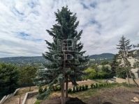 Eladó lakás (téglaépítésű) Budapest II. kerület, 224m2