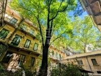 Budapest VIII. kerület Locuinta (caramida)