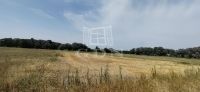 Eladó ipari terület Újlengyel, 107600m2