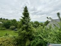 Szentendre Kastély, kúria