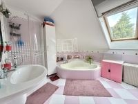 Szentendre Kastély, kúria