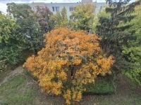 Budapest X. kerület Lakás (csúsztatott zsalu)