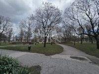 Budapest XV. kerület Lakás