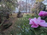 Budapest XIV. kerület Lakás (panel)