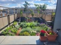 Budapest XIII. kerület Lakás