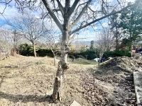 Szentendre Családi ház