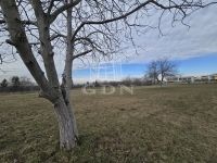 Budapest XVII. kerület Telek