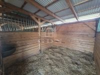 Budapest XVII. kerület Telek