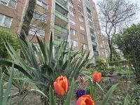 Budapest IV. kerület Lakás