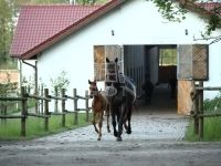 Siófok Mezőgazdasági terület