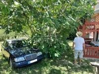 Ságvár Mezőgazdasági terület