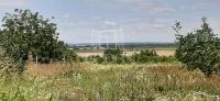 For sale agricultural area Siófok, 1559m2