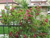 Siófok Családi ház