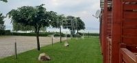 出卖 公寓房（砖头） Siófok, 27m2