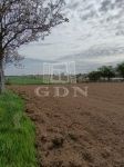 For sale agricultural area Balatonendréd, 3900m2