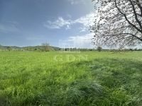 Balatongyörök Mezőgazdasági terület