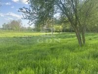 Eladó mezőgazdasági terület Balatongyörök, 37566m2