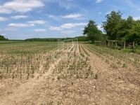 Katafa Családi ház