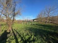 For sale building lot Sé, 2333m2