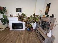 Vânzare locuinta Szombathely, 90m2