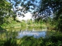 Püspökmolnári Családi ház