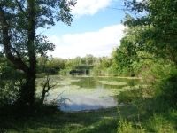 Püspökmolnári Családi ház