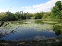 Püspökmolnári Telek