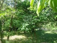 Püspökmolnári Mezőgazdasági terület