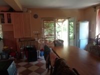 Püspökmolnári Mezőgazdasági terület