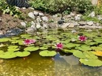 Szombathely Családi ház