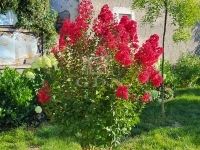 Szombathely Családi ház