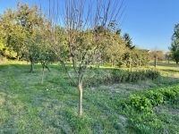 Táplánszentkereszt Családi ház