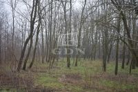 Döröske Mezőgazdasági terület