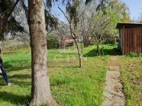 Maglód Családi ház