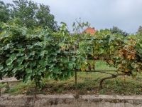 Pécel Családi ház