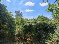 Pécel Családi ház