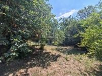 Pécel Családi ház