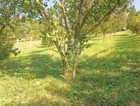 Zalaegerszeg Nyaraló