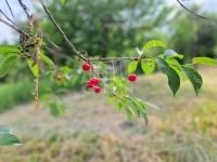 Zalaegerszeg Nyaraló