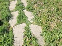 Nagykapornak Nyaraló