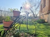 Zalaegerszeg Családi ház