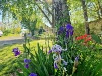 Zalavég Családi ház