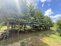 Zalaegerszeg Nyaraló