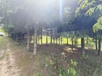 Zalaegerszeg Nyaraló