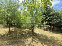 Zalaegerszeg Nyaraló