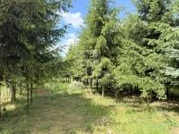 Zalaegerszeg Nyaraló