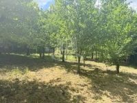 Zalaegerszeg Nyaraló